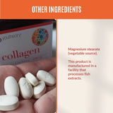 Advanced Collagen 6000MG 120 TABLETS